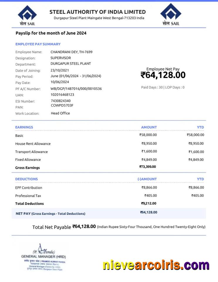 Steel Authority of India payslip